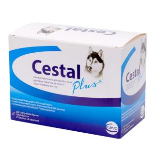 CESTAL PLUS Tablete pentru Caini