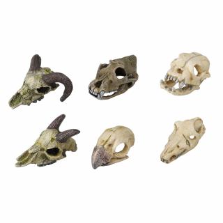 Decor Mini Craniu, 7-10 cm, Diverse Modele, L236 237878