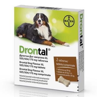 Drontal Dog Flavour XL 525 504 175 mg 2 Comprimate