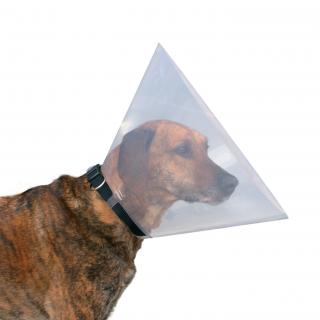 Guler Protector, Plastic, XS: 22-25 cm 7 cm, Transparent, 19480t