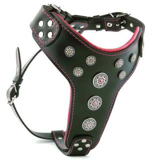 Ham Bijou, Piele Naturala, M: 50-75 cm, Negru Rosu, pentru Amstaff, Border Collie, Vizsla, etc
