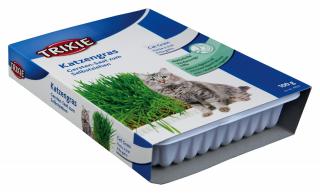 Iarba Din Seminte De Orz, In Castron Plastic, 100 g, 4235t