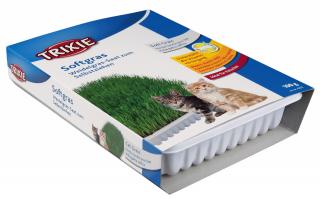 Iarba Soft, In Castron Plastic, 100 g, 4232t