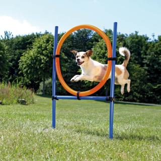Inel Pentru Caini, Fun Agility, Plastic, 115x3 cm, 65 cm, 3208t