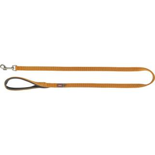 Lesa Premium, M-L: 1 m 20 mm, Galben Curry, 200229