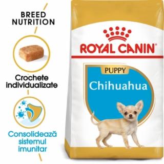 Royal Canin Chihuahua Puppy