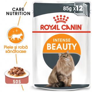 Royal Canin Intense Beauty Gravy 12x85g