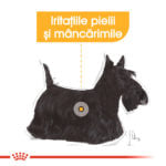 Royal Canin Mini Dermacomfort 3kg