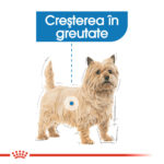 Royal Canin Mini Light Weight Care 8kg