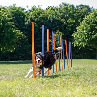 Slalom Pentru Caini, Fun Agility, Plastic, 3x115 cm, 12 buc, 3206t