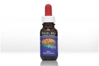 Travel Well Flower Essence Drops 25ml