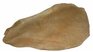 Urechi De Vita Uscate, 2726