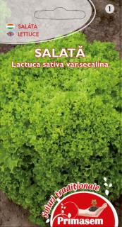 SALATA VERDE - LOLLO BIONDA