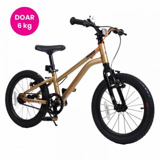 Bicicleta Royal Baby Kable-EZ 14 Golden