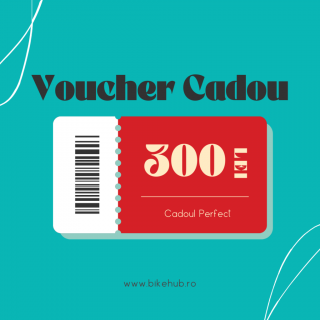 Voucher cadou 300 lei