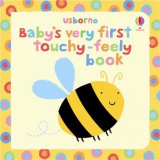 Carte Cartonata senzoriala Baby s Very First Touchy-Feely Book