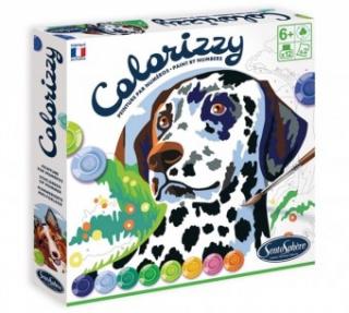 Colorizzy - Atelier pictura pe numere- Catei