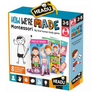 Headu Montessori - Sa Invatam Partile Corpului