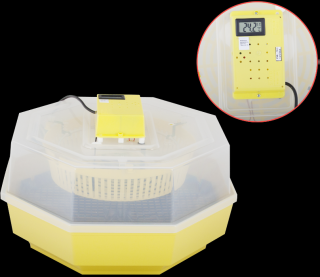 Incubator electric cu termometru capacitate 60 oua de gaina 150 de oua prepelita