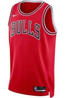 Maieu NIKE Chicago Bulls Icon - DN2131-657