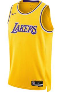 Maieu NIKE LA Lakers Swingman Icon  - DN2140-728