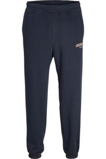 Pantaloni JACK JONES Kane Vesterbro Newton - 12266749-Sky Captain