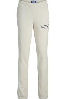 Pantaloni JACK JONES Karl Versterbro JNR - 12267461-Moonbeam