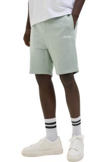 Short JACK JONES Gordon Beau Mid - 12268770-Iceberg Green