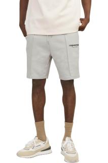 Short JACK JONES Kane Vesterbro Mid SN - 12252251-Moonbeam
