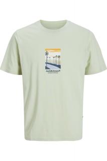 Tricou JACK JONES Split Graphic Front - 12273000-Celadon Tint