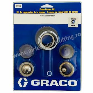 Kit reparatie pompa, Graco, 249123