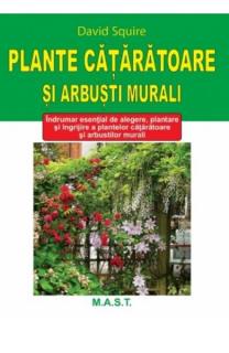 Plante cataratoare si arbusti murali