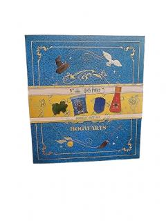 Set Harry Potter, Gel de dus 200 ml,Sare de baie 100 gr, Burete de baie, sapun 50 gr