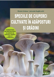 Speciile de ciuperci cultivate in adaposturi si gradini