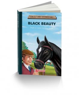 BLACK BEAUTY