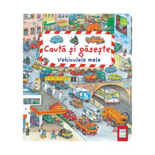 Cauta si gaseste - Vehiculele mele