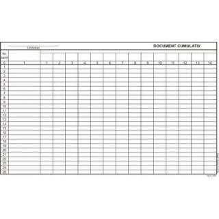 Document cumulativ A4 orizontal