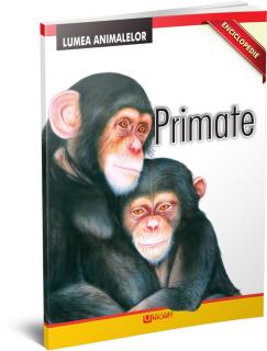 ,  ,  ,  ,  ,  ,  ,  ,  ,  ,  ,  ,  ,  ,  Enciclopedie - Primate