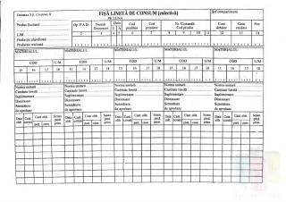 Fisa limita de consum colectiva A4 orizontal