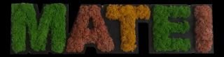 Litere decorative cu licheni