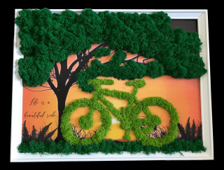 Tablou cu licheni personalizat cu bicicleta si apus de soare