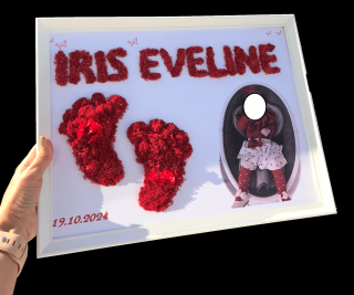 Tablou licheni personalizat