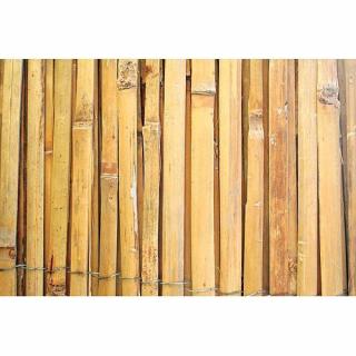 Panou de gard paravan din bambus Strend Pro BSF, 2x5 m