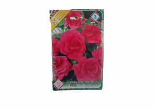 Begonia Double Large Pink CAT 3