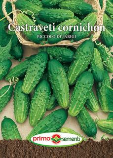 Castraveti cornichon Piccolo di Parigi 3 g