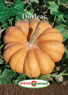 Dovleac Moscata Di Provenza 2g