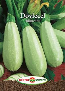 Dovlecel Bolognese 4 g