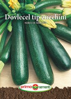 Dovlecel tip Zucchini Nero di Milano