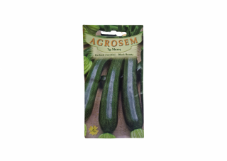 Dovlecel Zucchini- black Beauty