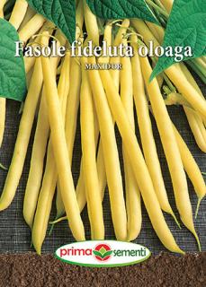 Fasole fideluta oloaga Maxidor